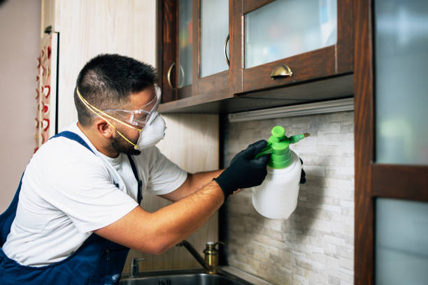 Best Best Pest Control Companies  in Washington Court House, OH