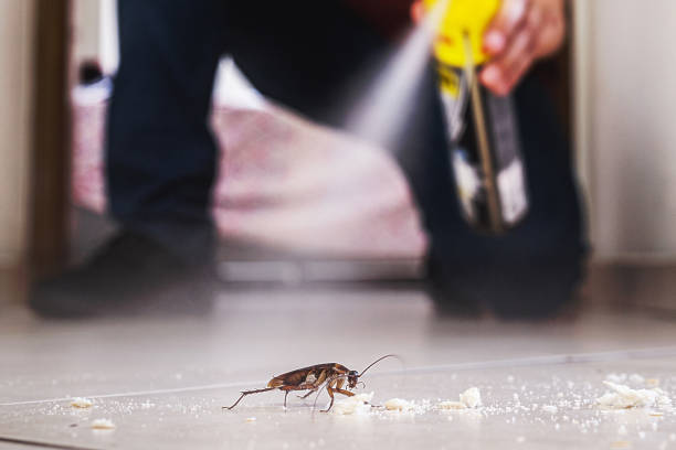 Best Rat Extermination Near Me  in Washington Court House, OH